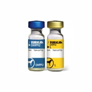 Vaccin chien تلقيح للكلاب eurican