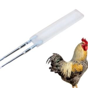 Aiguille de vaccination poule (variole )