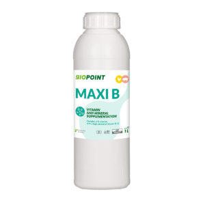 Maxi B  (1 litre)