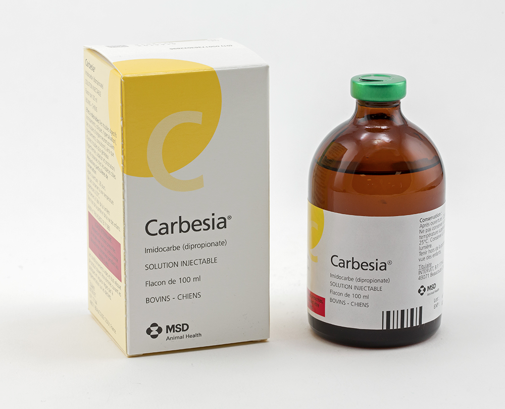 Carbesia (100 ml)